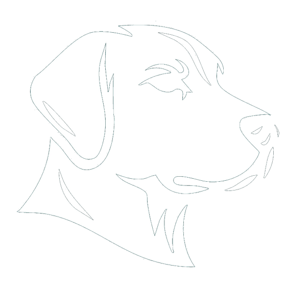 Mem the Kangal dog - Green Acres Doggy Daycare mascot